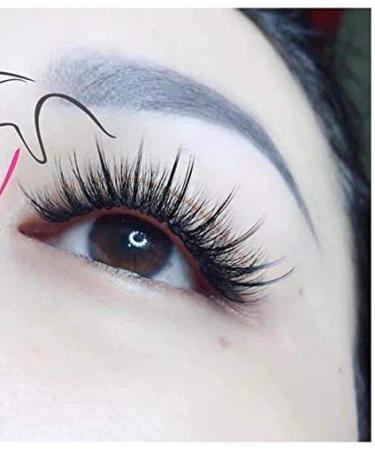 Lash by Holly Hybrid 5D Premade (Hand Made) Fan Lashes (500 Fans/Tray) for Eyelash Extension D CURL 0.07 Thickness Langth from 9mm-15mm (Hybrid-D9MM5D)