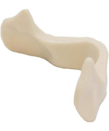 Shop Dental Teeth Model Upper Jaw - No Gums Ideal for Implant Practice & Demonstration | International Shipping Available - Buy Online on GoSupps.com