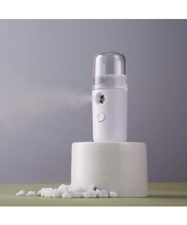 Nano Mist Sprayer USB Rechargeable Portable Mist Spray Facial Moisturizing Sprayer Hydration Spray for Face Care 30ml - Buy Online on GoSupps.com