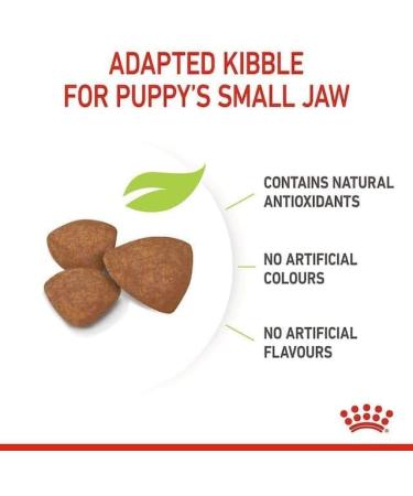 Royal Canin Mini Puppy Food for Puppies | 800 g | Dry Food for Puppies | Complete Food for Dogs | for Pet - Buy Online on GoSupps.com
