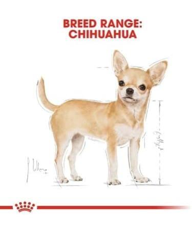 Chihuahua Adult Wet Dog Food 24 Packs 85g Each For 8 Months Plus Formulated Specifically For Small Breed Dogs - Buy Online on GoSupps.com