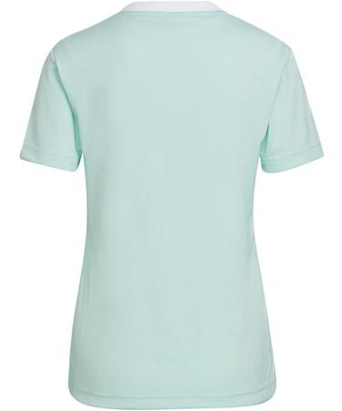 Buy Adidas Women's T-Shirt XS - Clear Mint | Stylish & Comfortable | International Shipping Available - Buy Online on GoSupps.com