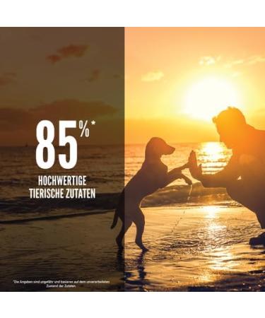 Orijen Puppy | Double Pack | 2 x 340 g | Dry food for puppies | to support the development of puppies | with fresh or raw poultry and fish ingredients - Buy Online on GoSupps.com