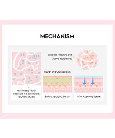 SNP PREP Peptaronic Complete Korean Skin Care Set - Hydrating Serum, Toner, Cream & Ampoule - 10 Sheet Masks - Ideal Gift for Women - Buy Online on GoSupps.com