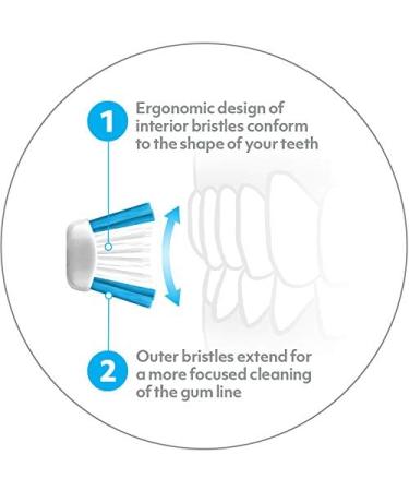 Ooak Toothbrush Tapered V++Arc Soft Bristles Standard Brush Head 2 Pack - Black | 2 Count - Buy Online on GoSupps.com