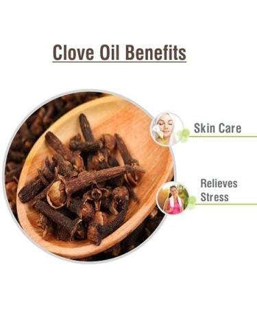 Clove Oil (Syzygium aromaticum) 100% Pure & Natural Undiluted Uncut Essential Premium Aromatherapy Oil - 15ml Clove 15 ml (Pack of 1) - Buy Online on GoSupps.com