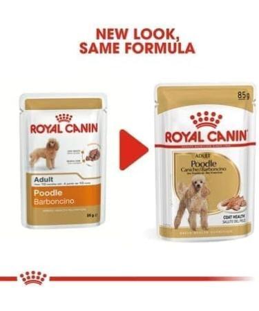 Royal Canin Poodle Wet Dog Food Pouches 12 x 85g - Buy Online on GoSupps.com
