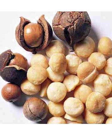 Buy 100% Pure Macadamia Nut Oil 30ml - Natural IKAROV | International Shipping Available - Buy Online on GoSupps.com