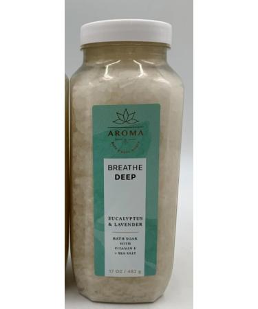 Shop Bath And Body Works Eucalyptus & Lavender Gift Set - 17 Oz Bath Soak with Vitamin E & Sea Salt - Ideal for Relaxation & Self-Care - Buy Online on GoSupps.com
