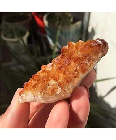 CIMWJOPS 1pc Rough raw Stone Natural Yellow Citrine Quartz Crystal Cluster for - Buy Online on GoSupps.com
