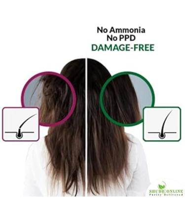 Indigo Powder Organic for Hair | Black Colour | 200 GM |Natural Avuri Leaf Powder | Neela Amari |Neel Patti |Neelayamari | Neli Aku |Indico Powder | - Buy Online on GoSupps.com