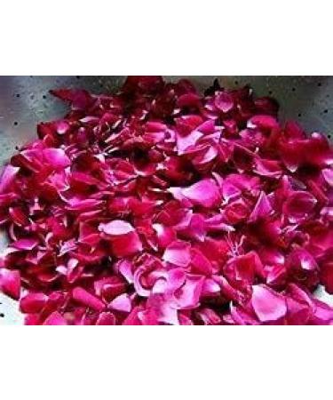 ORGANIZE Santhigram Nature 100 Organic Rose Petals Powder for FaceSkinHair Care 200g - Buy Online on GoSupps.com