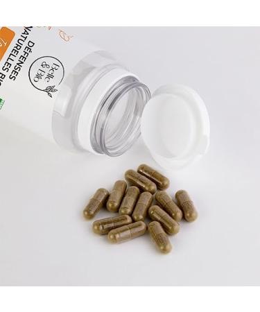 Winter & Immunity of the Organization - Ecocert Certified Organic Natural Defenses - Pill Box of 120 Capsules - 1 Month Cure - Beautiful & Organic Food Supplement - Made in France. - Buy Online on GoSupps.com