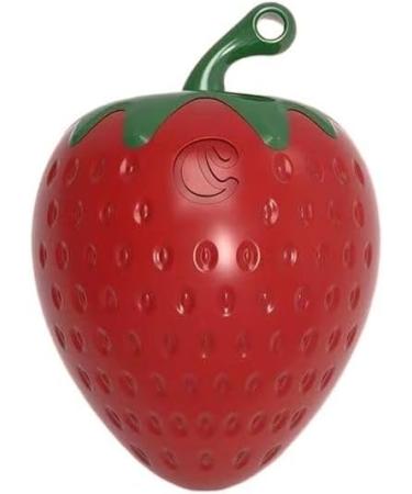YAINWFVD 2 Pack of Cute Strawberry lighters Keychain lighters Windproof lighters Mini Portable Pocket lighters Butane Inflatable lighters Gifts for Women - Buy Online on GoSupps.com