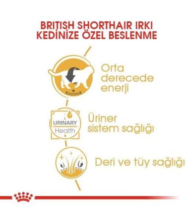 Royal Canin British Shorthair Adult Wet Cat Food Pouches 12 x 85g - Buy Online on GoSupps.com
