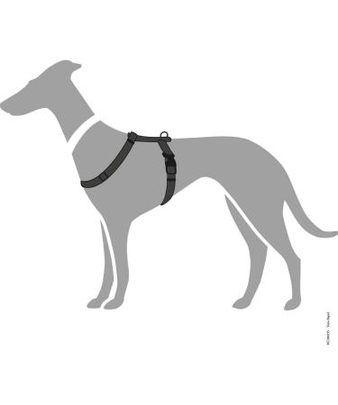 HUNTER Vario Rapid Harness 38-52 cm - Black | Premium Comfort & Durability for Dogs | International Shipping Available - Buy Online on GoSupps.com
