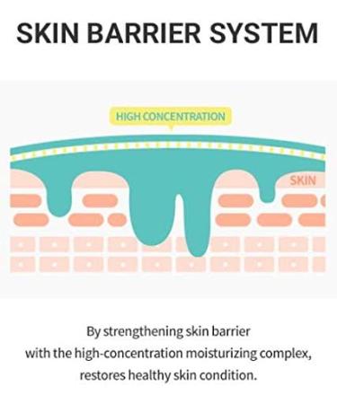 Dr.Ceuracle CICA Regen 92 Toner & 70 Cream - Soothing Skincare for All Skin Types | International Shipping Available - Buy Online on GoSupps.com