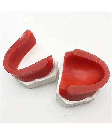 Fhuili tooth jaw wax embankment model - Soft Wax Dental Mold - Artificial tooth Wax -Type floor tub for teeth - for studying a