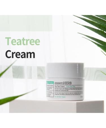 Buy Tea Tree Cream - Pure Moisturizer for Dry Skin & Blemishes | Korean Skincare 50ml - Buy Online on GoSupps.com