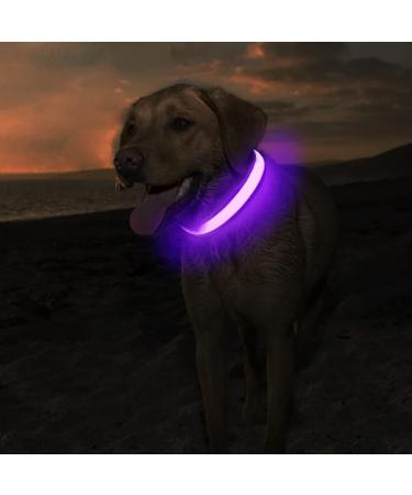 Masbrill Luminous LED Dog Collar - Waterproof Adjustable Safety Collar for Small & Medium Dogs - 3 Lighting Modes - Purple (48-60cm) - Buy Online on GoSupps.com