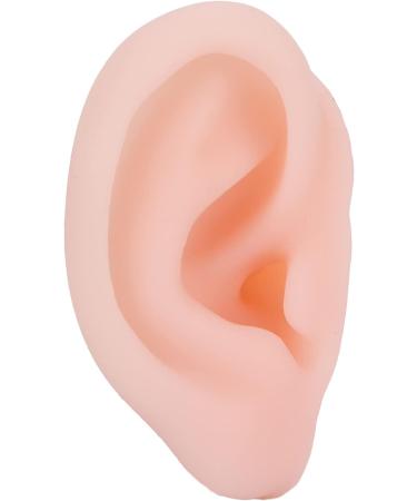 HEEPDD Long-term Right Ear Model for Acupuncture Training & Display - Flexible Human Ear Model for Headset Earrings & Safety Equipment - Buy Online on GoSupps.com