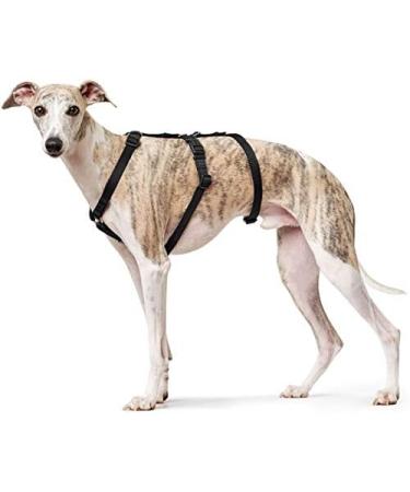 HUNTER Vario Rapid Safety Harness - Adjustable 64-100 cm in Black | International Shipping Available - Buy Online on GoSupps.com
