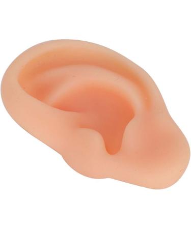 Professional Simulated Ear Model for Acupuncture - High-Quality Instructor Display - Buy Online on GoSupps.com
