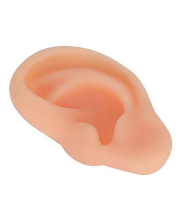 Silicone Left Ear Acupuncture Practice Model - Professional Massage Teaching Tool - Buy Online on GoSupps.com
