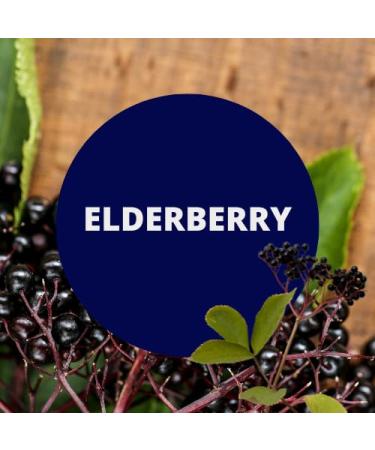 Black Canyon Elderberry Scented Body Lotion with Lanolin and Jojoba Oil 12 Oz - Buy Online on GoSupps.com