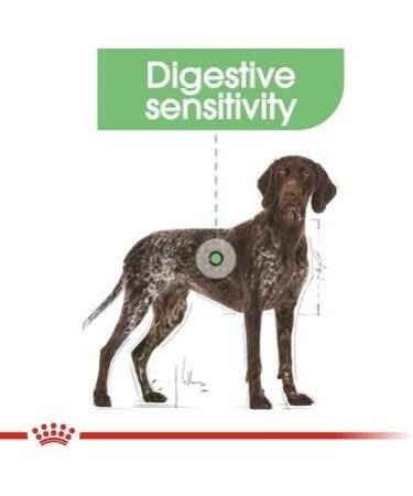 Royal Canin - Maxi Digestive Care Croquettes - 12 Kg Bag - Buy Online on GoSupps.com