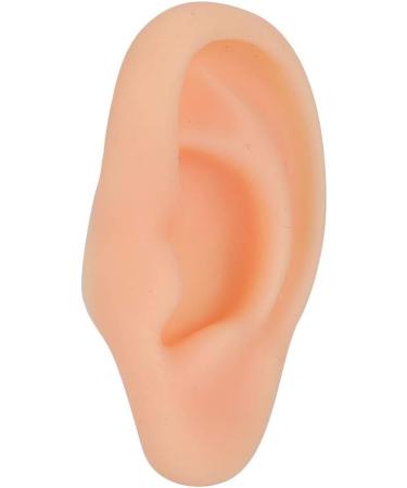 Professional Simulated Ear Model for Acupuncture & Massage Practice - Right Ear Demo Tool - Buy Online on GoSupps.com