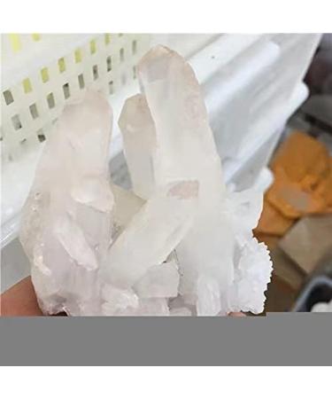 1pc Quartz Natural White Minerals Specimen Crystals Cluster for Stones 500-650g - Buy Online on GoSupps.com