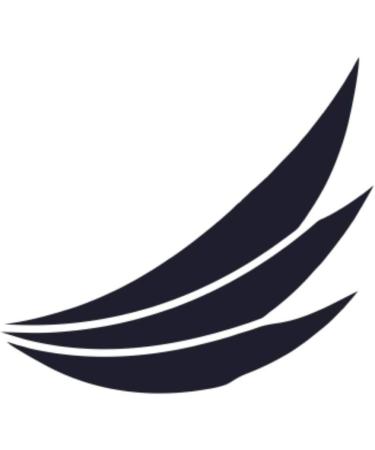 Magnet Heart Copper Powerherz 3 Wings - TCM Energetics Body Magnet for Pain Relief | Energetix 4you 1114 Magnetix 177cu - Shop Internationally! - Buy Online on GoSupps.com