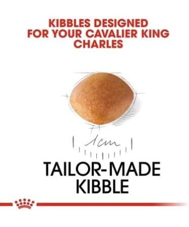 Royal Canin Cavalier King Charles Puppy 1.5kg (Pack of 2) - Buy Online on GoSupps.com