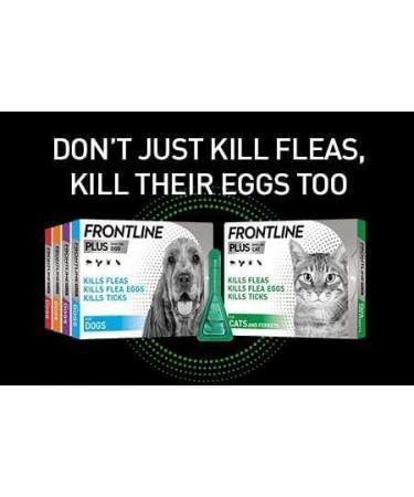 FRONTLINE Plus for Cats & Ferrets - 1 Pipette Flea & Tick Treatment (8 Weeks+) | Cat & Ferret Flea Treatment - Buy Online on GoSupps.com