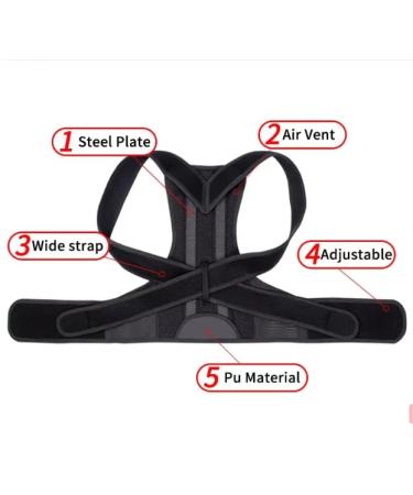 Back Support Belt & Posture Corrector - Relief for Upper & Lower Back Pain | Small Size Available - Men & Women - Buy Online on GoSupps.com