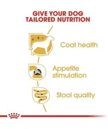 Adult Yorkshire Terrier Wet Dog Food 24 Packs 85g Each - Buy Online on GoSupps.com