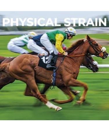 Bretania 100% Natural Arnica Gel for Horses & Pets | Muscle & Joint Soother | Anti-Inflammatory Pain Relief | Veterinarian Recommended | Rapid Absorption 1 kg - Buy Online on GoSupps.com