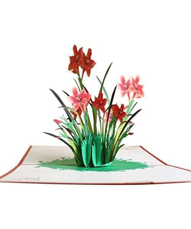 Pop Up Flower Card 3D Daffodil Pop Up Greeting Cards for Mother's Day Spring Father's Day Graduation Birthday Wedding Anniversary Thank You Get Well Sympathy All Occasion - Buy Online on GoSupps.com