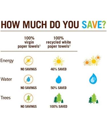 Seventh Generation 2-Ply Bathroom Tissue, 300 Sheets, 4 Count (12 Pack) | Eco-Friendly & Soft - Buy Online on GoSupps.com