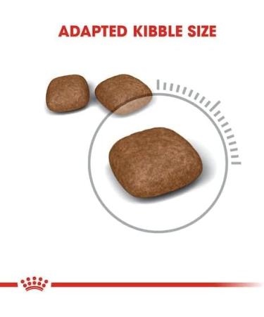 Royal Canin Urinary Care Complete Dry Adult Cat Food 3 x 400g - Buy Online on GoSupps.com