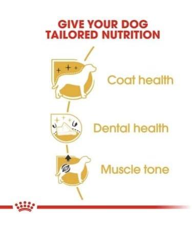 Royal Canin Poodle Adult Dog Food 1.5kg (Pack of 2) Poultry 1.5 kg (Pack of 2) - Buy Online on GoSupps.com