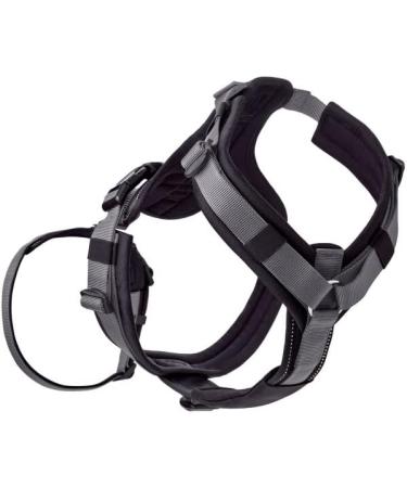 Safety Harness Maldon - Black/Grey XS | International Shipping Available - Buy Online on GoSupps.com