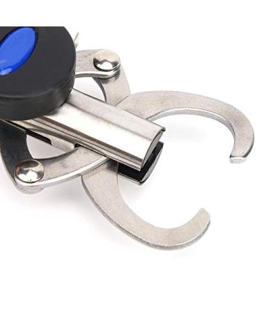 RiToEasysports 3 in 1 Fish Lip Grabber | Premium Fish Holder with Scale & Tape Measure | Essential Fishing Tackle & Accessories for Anglers - Buy Online on GoSupps.com