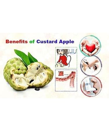 Herbal Magic Custard Apple Powder - Pure & Natural for Vibrant Smoothies, Shakes, Juices, Baking - 100g Pack - Irresistibly Delicious for Active Lifestyles - Buy Online on GoSupps.com