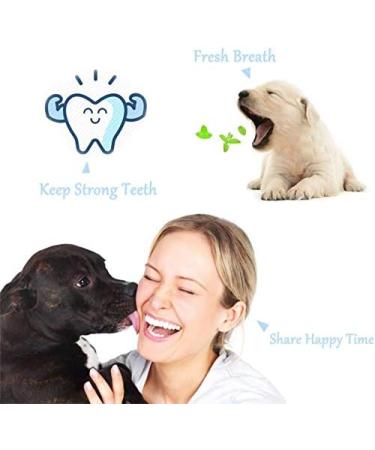 KTL 3 Pcs Dog Toothbrush Three Heads Toothbrush for Pet Teeth Care - Buy Online on GoSupps.com