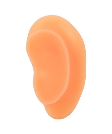 Simulated Left Ear Mould - Lifelike Fake Ear Model for Hospital Education - Buy Online on GoSupps.com