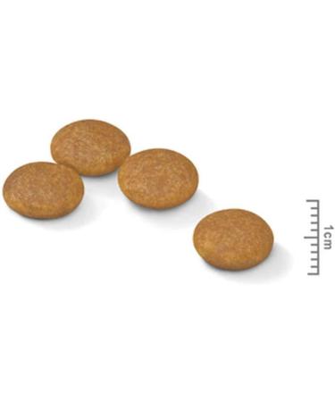 Royal Canin Mini Dermacomfort 4.0 kg - Buy Online on GoSupps.com