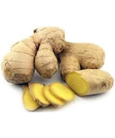 Ginger Supreme - Respiratory Harmony Harmony Nutraceuticals Supplement for Healthy Digestion Breathing Circulation and Joints - Buy Online on GoSupps.com