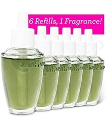 Bath and Body Works Fresh Balsam Wallflowers Fragrance Refill - 6 Pack (0.8 fl oz / 24 mL) - Buy Online on GoSupps.com